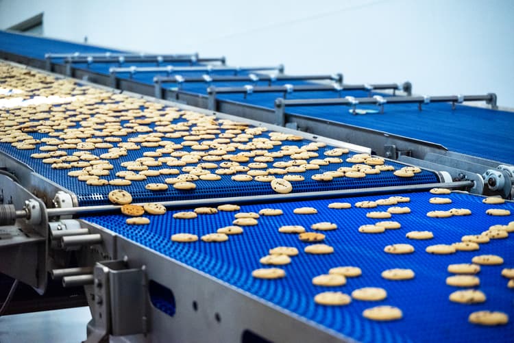 Industrial conveyor system in production